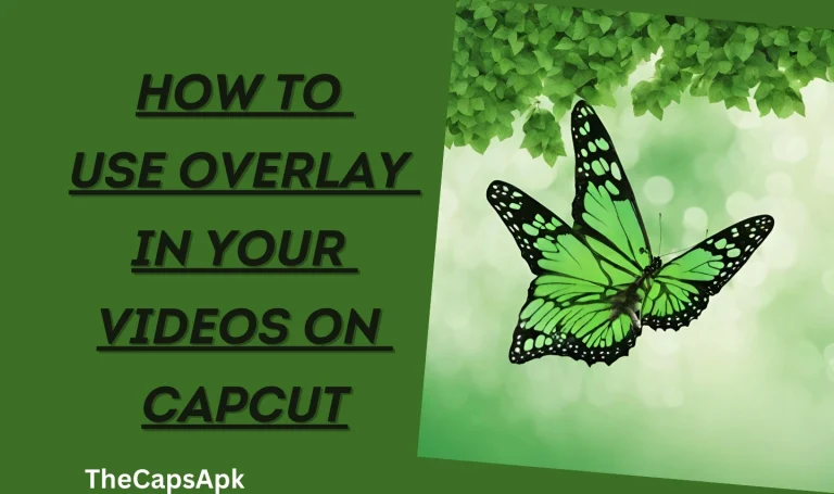 How to Use Overlay in Your Videos On Capcut (2024 Guide)