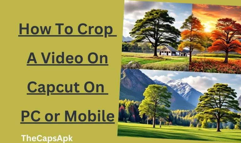 How To Crop A Video On Capcut On PC or Mobile (2024 Guide)