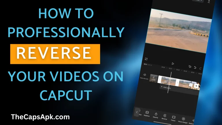 How To Professionally Reverse Your Video On Capcut (2024 Guide)
